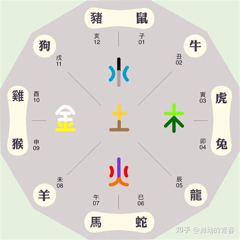 動物 五行|如何区分动物的五行属性？